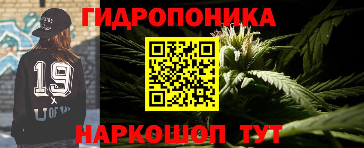 Каннабис Bruce Banner  Бошки Шишки LSD WEED  Будённовск  Вход с VPN 